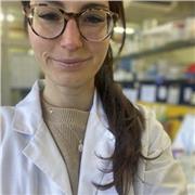 RIpetizioni di biologia e chimica per studenti medie e superiori